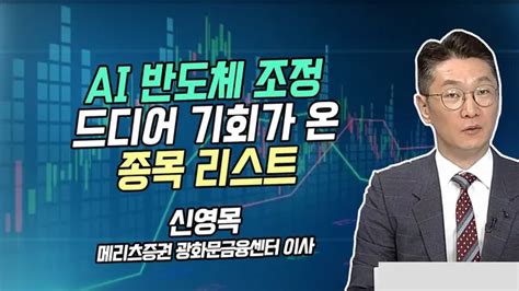 신영목의 히든밸류 Ai 반도체 조정 드디어 기회가 온 종목 리스트 시황의 해설자들 머니투데이방송 증시 증권