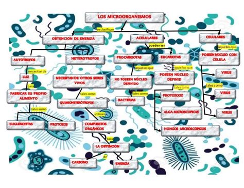 Cuadro Descriptivo De Los Diferentes Tipos De Microorganismos