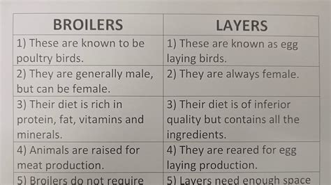 Difference Between Broilers And Layers Class Series Youtube