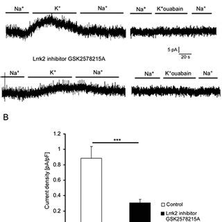 Na K ATPase Currents In Lrrk2 And Lrrk2 DCs A Original