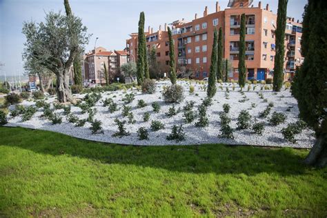 Ayuntamiento De Toledo La Alcaldesa Destaca La Mejora Ambiental Y