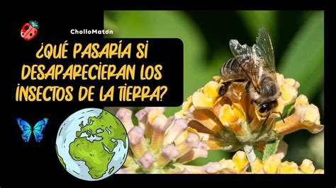 Qué pasaría si DESAPARECIERAN todos los INSECTOS de la faz de La