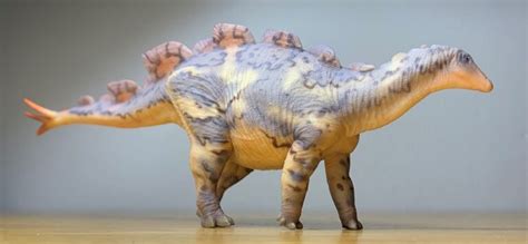 Wuerhosaurus (Haolonggood) – Dinosaur Toy Blog