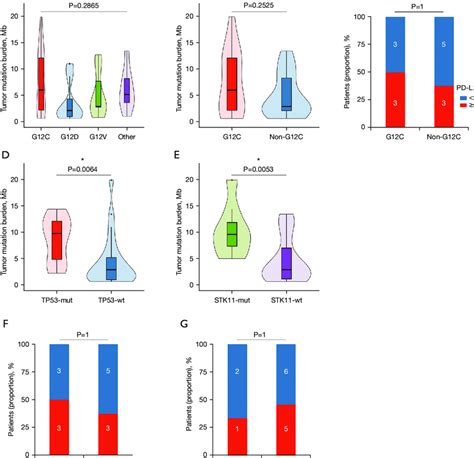 Comparison Of Tumor Mutation Burden And Pd L Expression In Patients