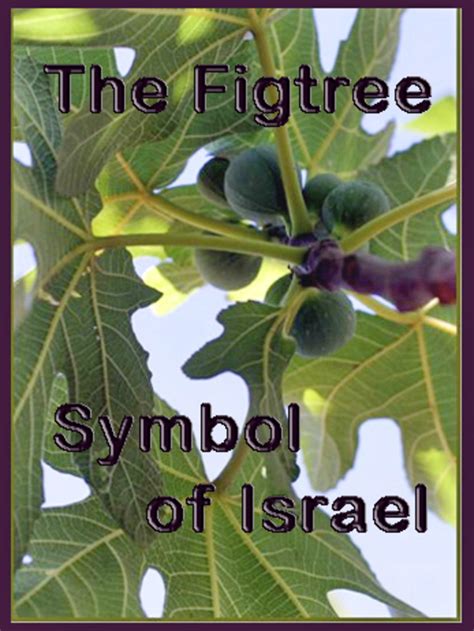 The Fig Tree — a Symbol of Israel | Acts Of The Apostles | Jesus