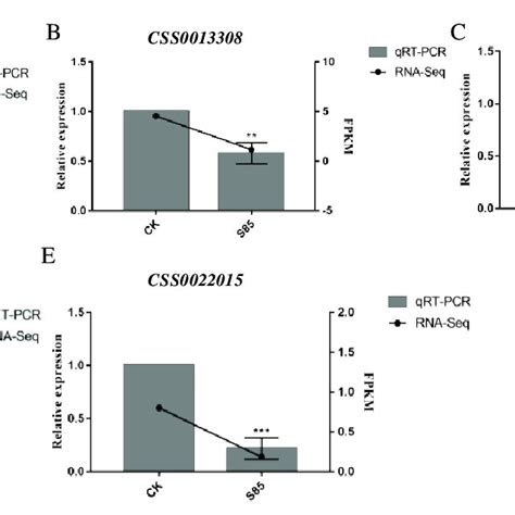 Validation Of The Differentially Expressed Genes By A Qrt Pcr Analysis