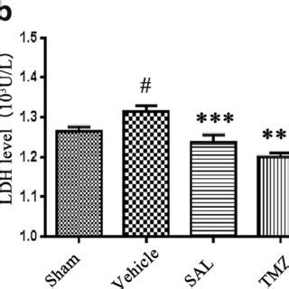 SAL Treatment Reduced Myocardial Infarction Enhanced Cardiac Function