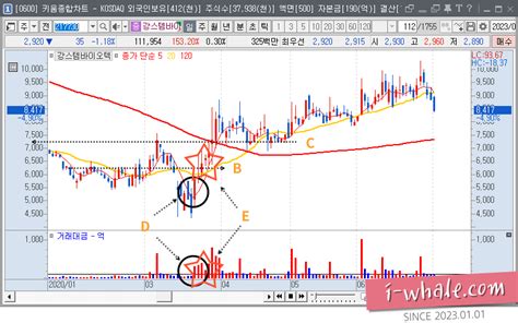 하락 추세 구간에서의 기준봉 매매 기법 Feat 강스템바이오텍