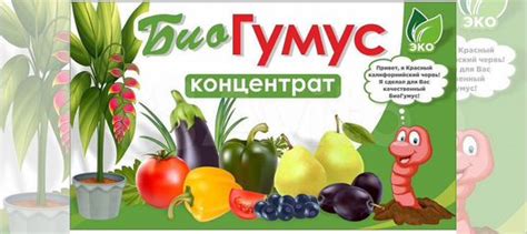 Биогумус купить в Михайловске | Товары для дома и дачи | Авито