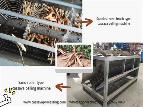 Technology Support For Making Garri With Gari Processing Machine Cassava Chips Production