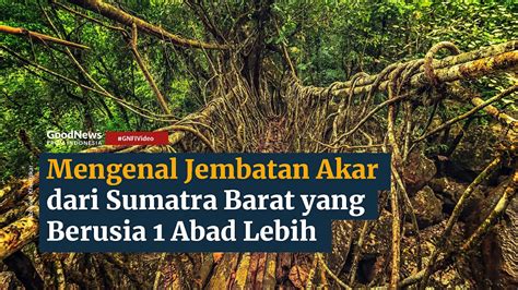 Mengenal Jembatan Akar Dari Sumatra Barat Yang Berusia 1 Abad Lebih