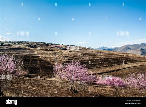 Village And Farmland In Lesotho Africa Stock Photo Alamy
