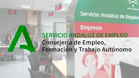 El SAE lanza una oferta de empleo en Almería para 4 auxiliares