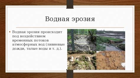 Эрозия почвы, виды эрозии
