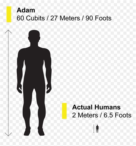 Height Of Adam In The Islam 60 Cubits To Meters Hd Png Download Vhv