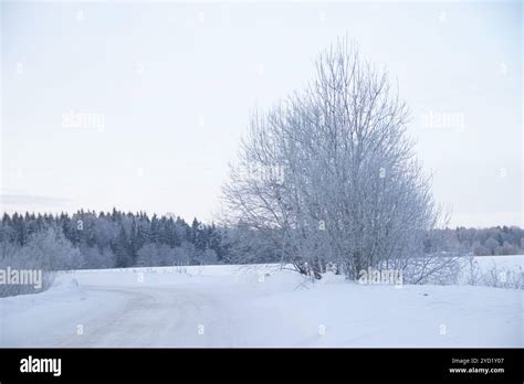 Snowy winter road. Winter fairy tale. Ride on a winter road Stock Photo ...