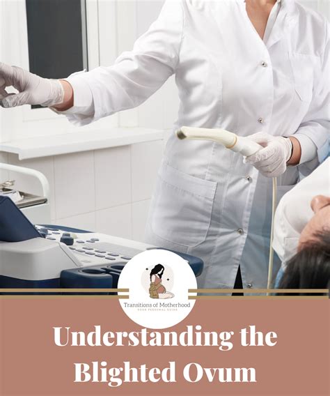 Unveiling the Blighted Ovum: a Misdiagnosed Agony - TOM