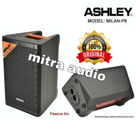 Jual Speaker Pasif Karaoke Professional Ashley Milanp Milan P Di