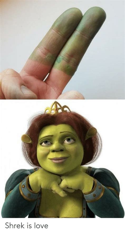 Shrek Meme Discover more interesting Donkey, Face, Giant, Green memes ...