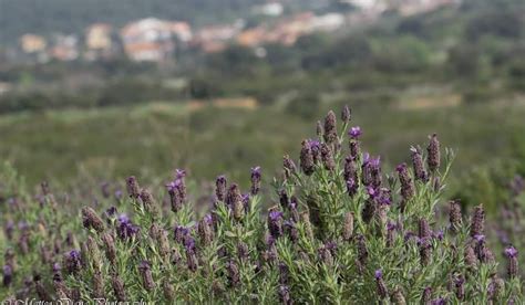 Sulcis Un Territorio Tutto Da Visitare Vivere E Scoprire