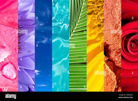 Rainbow of nature, colorful nature photo collage, vivid colors of nature Stock Photo - Alamy