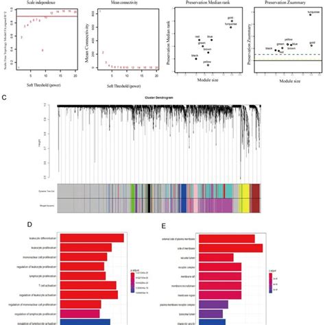 Co Expression Analysis Of Genes Associated With Ctla 4 A Soft