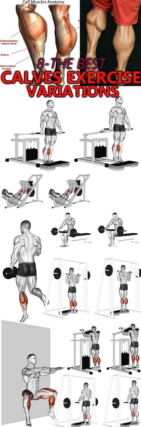 Barbell Seated Calf Raise Exercise How To Variations And