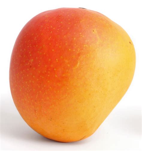 Mango Kensington Pride