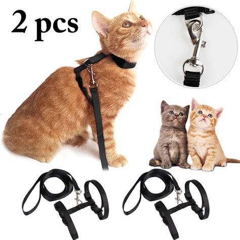 Best Adventure Cat Harness At David Roberts Blog