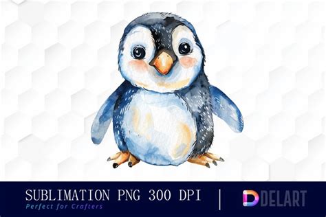 Cute Penguin Watercolor Clipart