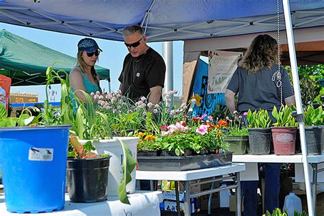 Celebrate Spring in Downtown Hermiston with Art Festival, Bazaar ...