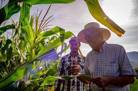 From Migrating To Managing Empowering A Honduran Farmer World Vision