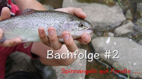 Spinnangeln Auf Forelle Am Bach Tipps Fische Und Mehr Youtube