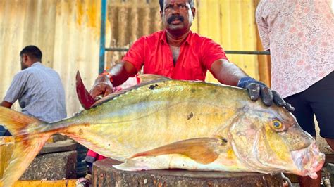 Kasimedu Mr Vadivelu Kg Big Yellow Trevally Fish Cutting In