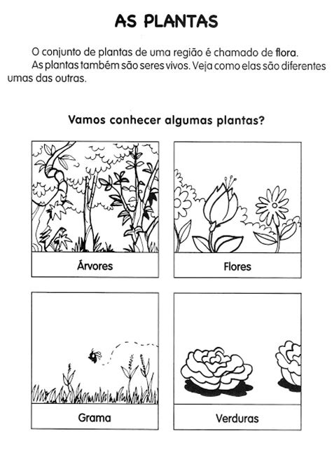 Atividades De Ci Ncias Plantas E Meio Ambiente S Escola