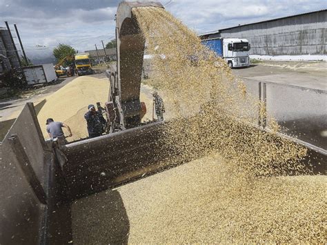 Will The Tusk Government Maintain The Embargo On Ukrainian Grain He Is