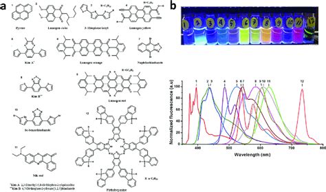 Preparation Of Organic Fluorescence Probe Loaded Sipns A Chemical