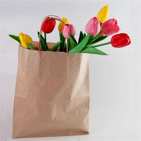 Paper Packaging Bags - Greeniepack