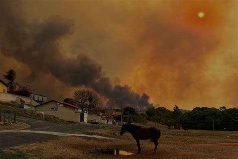 Embrapa queimadas afetam produção e elevam risco de perdas na próxima