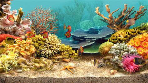 Free 3D Living Aquarium Screensaver APK Download For Android | GetJar