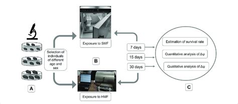 Graphical Representation Of Performed Experiments A Selection Of