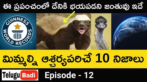 Top Interesting Facts In Telugu Episode Amazing And Unknown