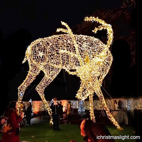 Extra large light reindeer outdoor decoration | iChristmasLight