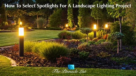 How To Select Spotlights For A Landscape Lighting Project The