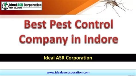 Ppt Best Pest Control Company In Indore Ideal Asr Corporation Powerpoint Presentation Id