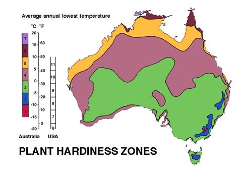 Plants & Flowers » Hardiness zone