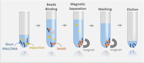 Proteigene Billes magnétiques pour la purification de petits