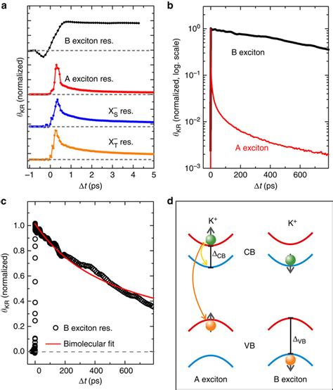 Valley Polarization Dynamics Of A And B Excitons A Direct Comparison Download Scientific