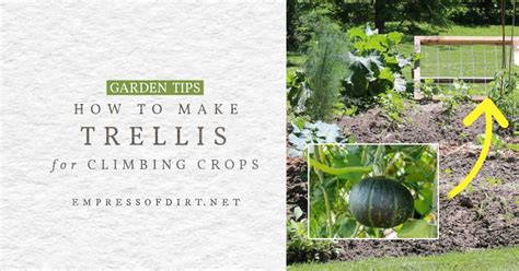 Diy Trellis For Climbing Fruits And Veggies — Empress Of Dirt