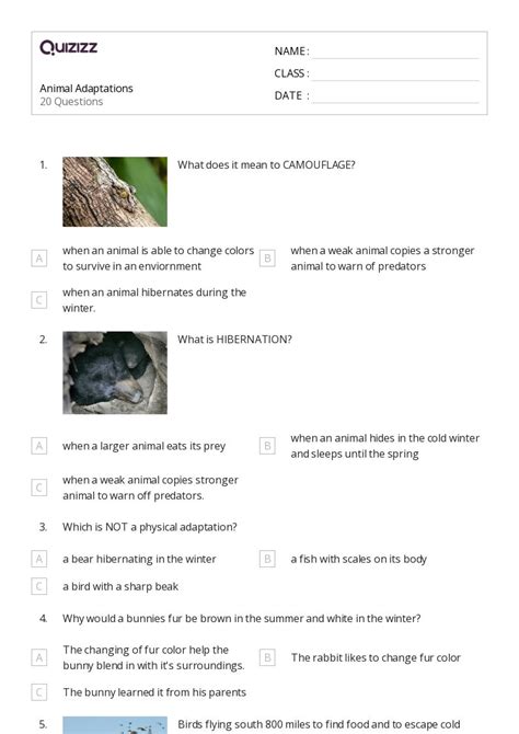 Natural Selection And Adaptations Worksheets For Rd Grade On